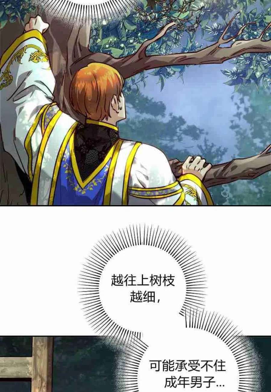 皇女，一朵疯狂绽放的花22话