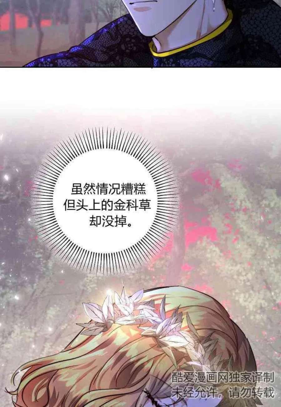 皇女，一朵疯狂绽放的花24话