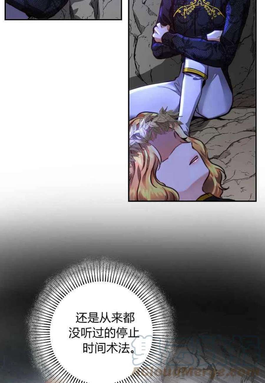 皇女，一朵疯狂绽放的花24话