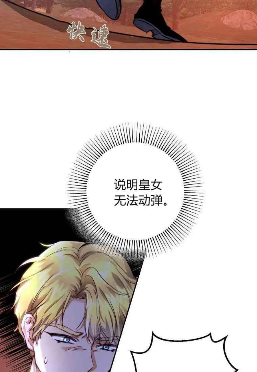 皇女，一朵疯狂绽放的花24话
