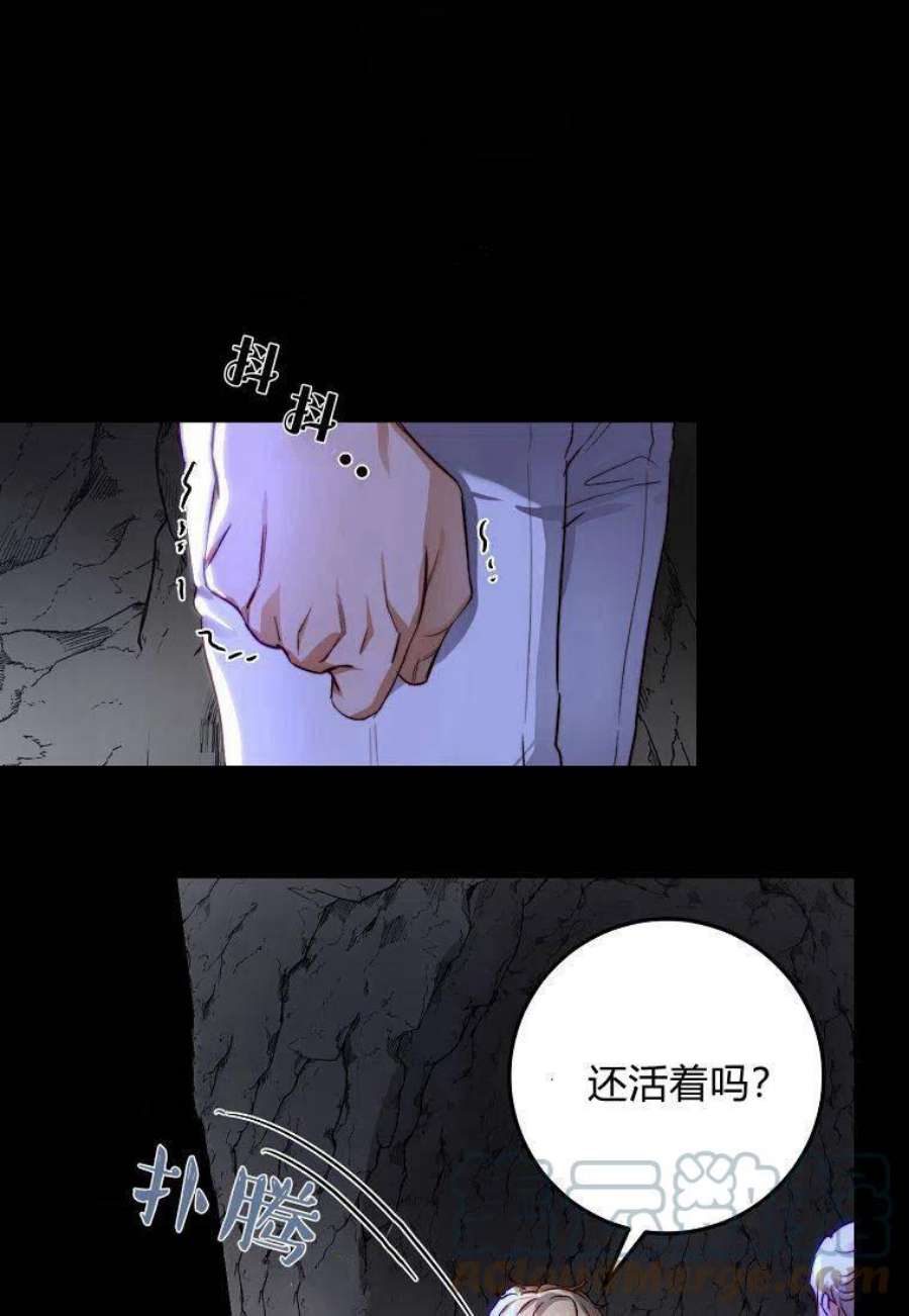皇女，一朵疯狂绽放的花24话