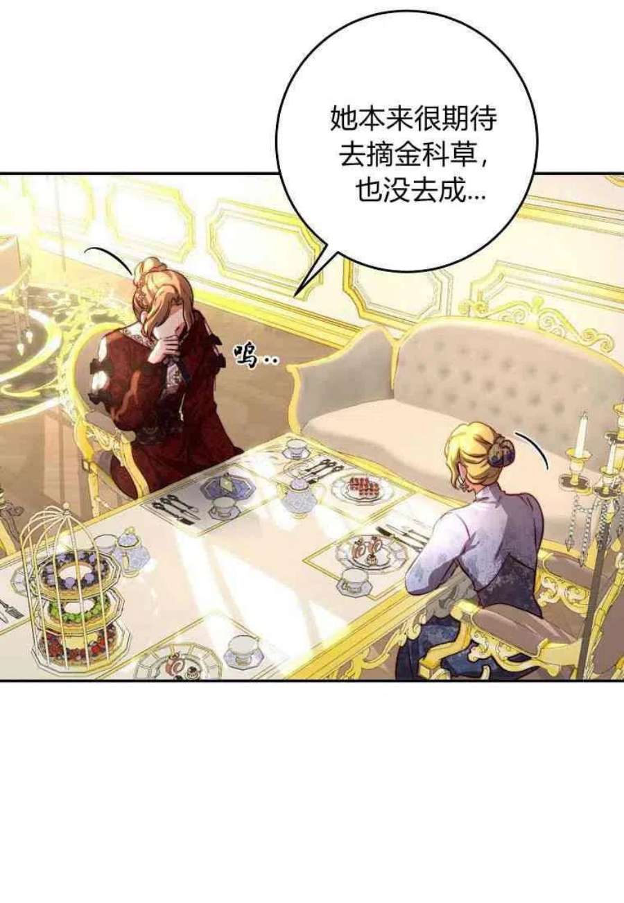 皇女，一朵疯狂绽放的花26话