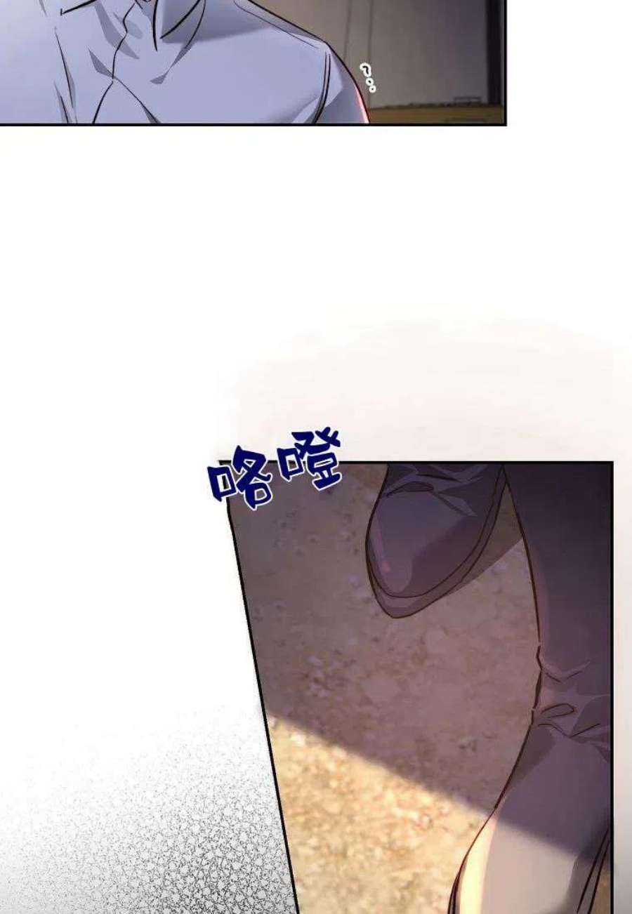 皇女，一朵疯狂绽放的花27话