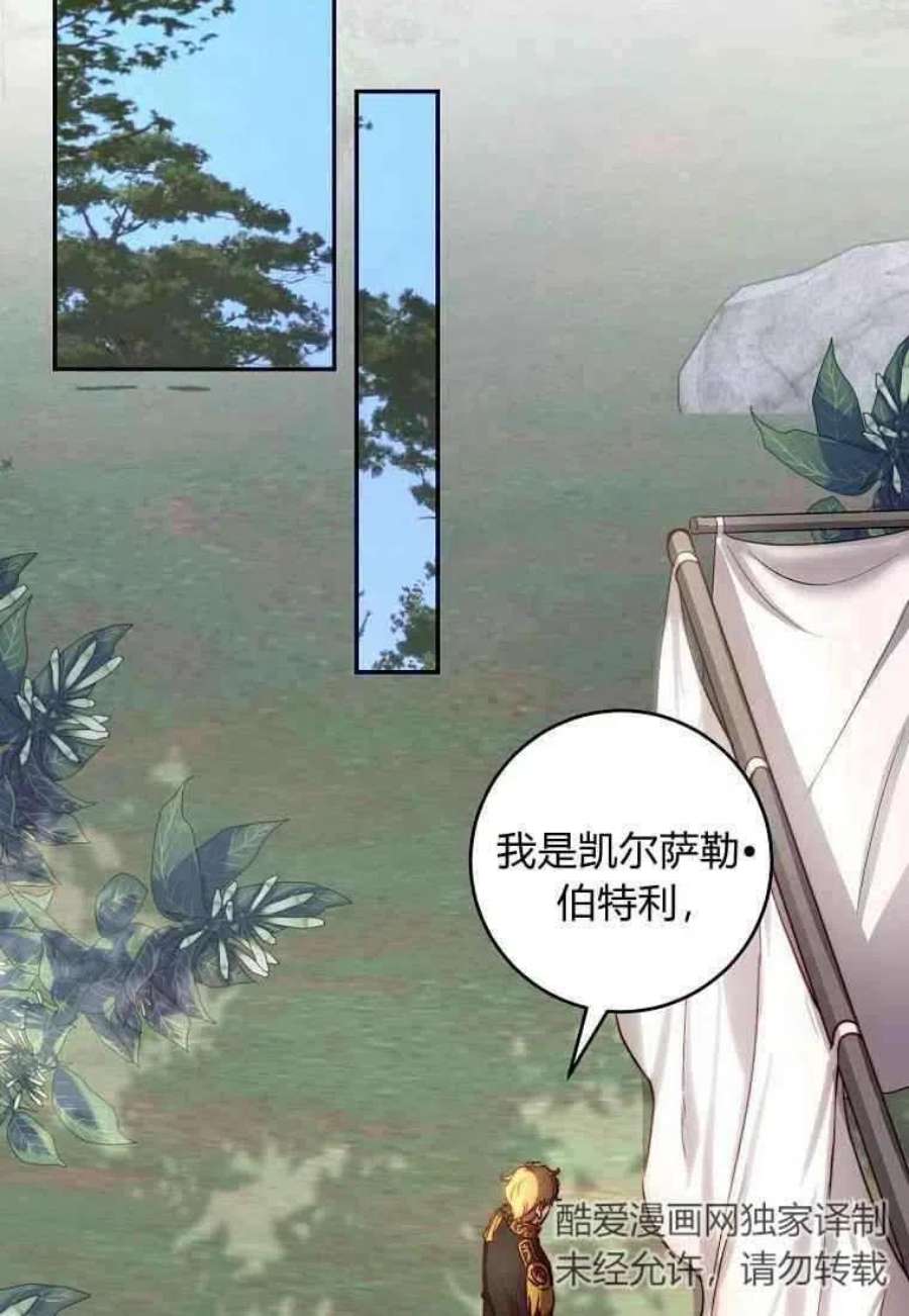 皇女，一朵疯狂绽放的花27话