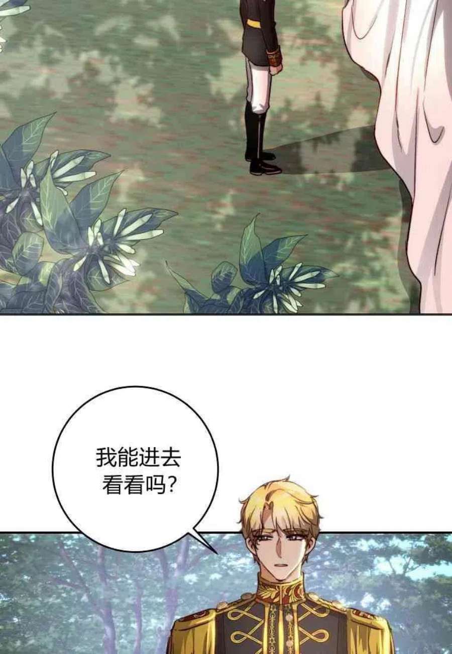 皇女，一朵疯狂绽放的花27话