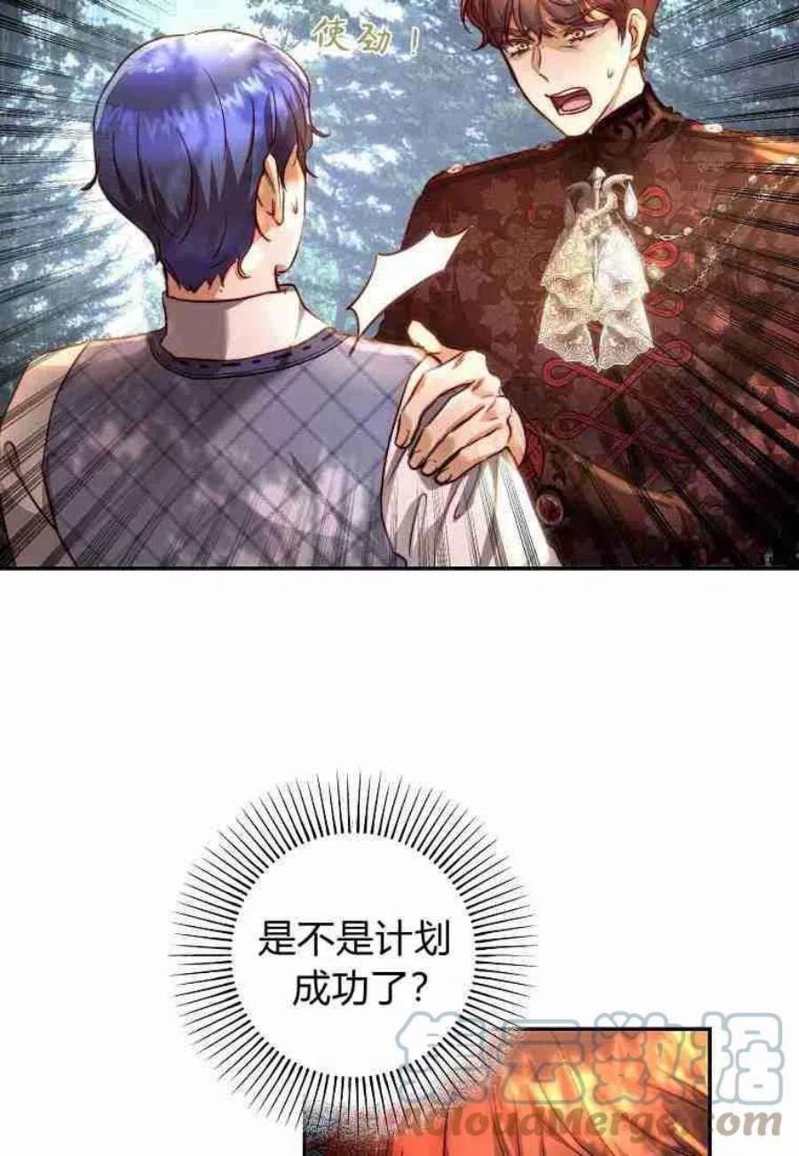 皇女，一朵疯狂绽放的花27话