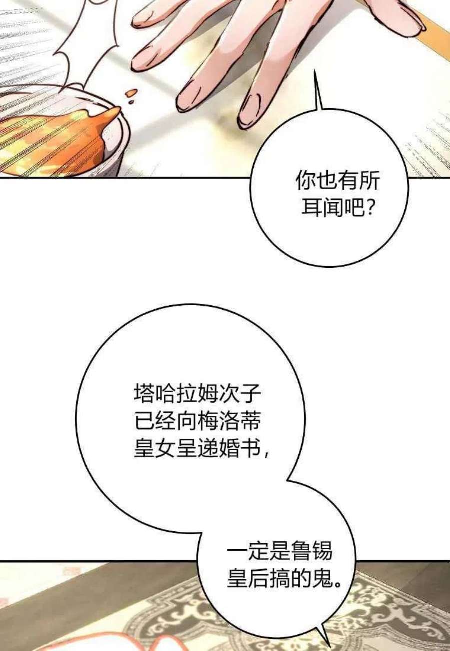 皇女，一朵疯狂绽放的花28话