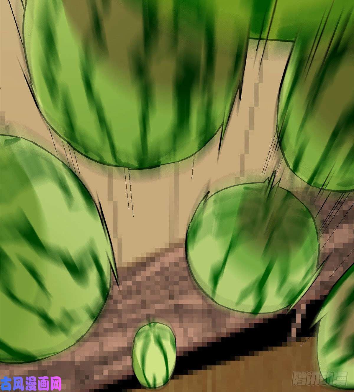 超神制卡师05 西瓜忍者