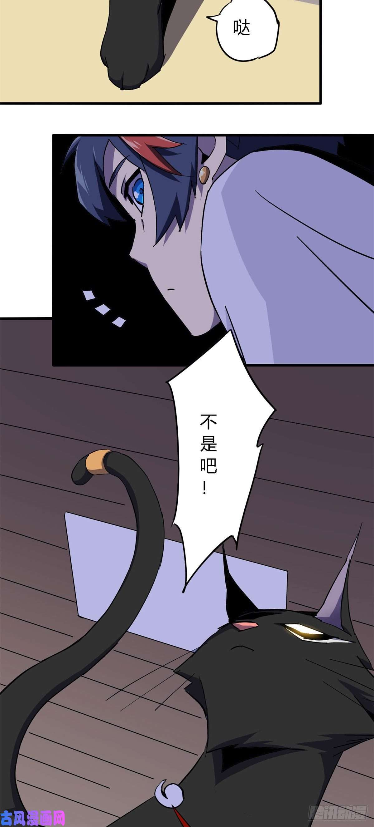 超神制卡师11爱猫人士表示谴责