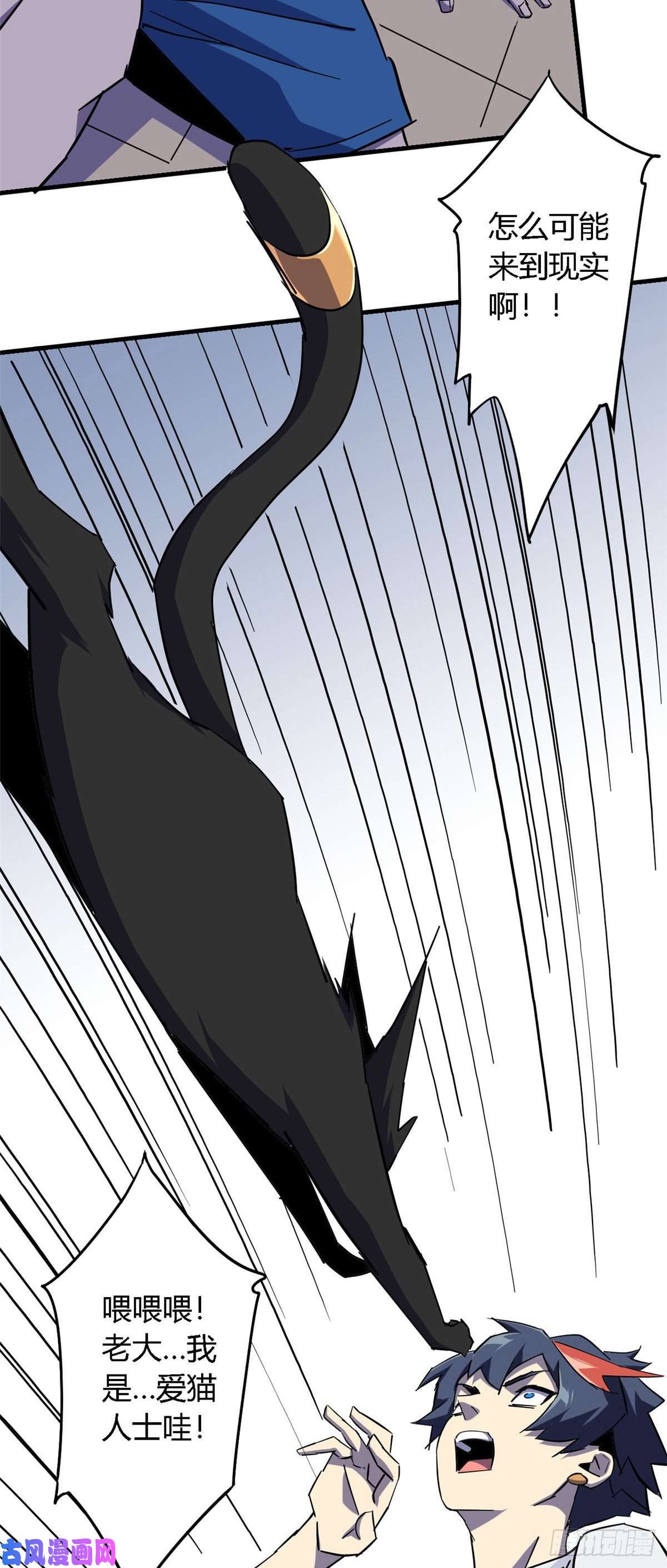 超神制卡师11爱猫人士表示谴责