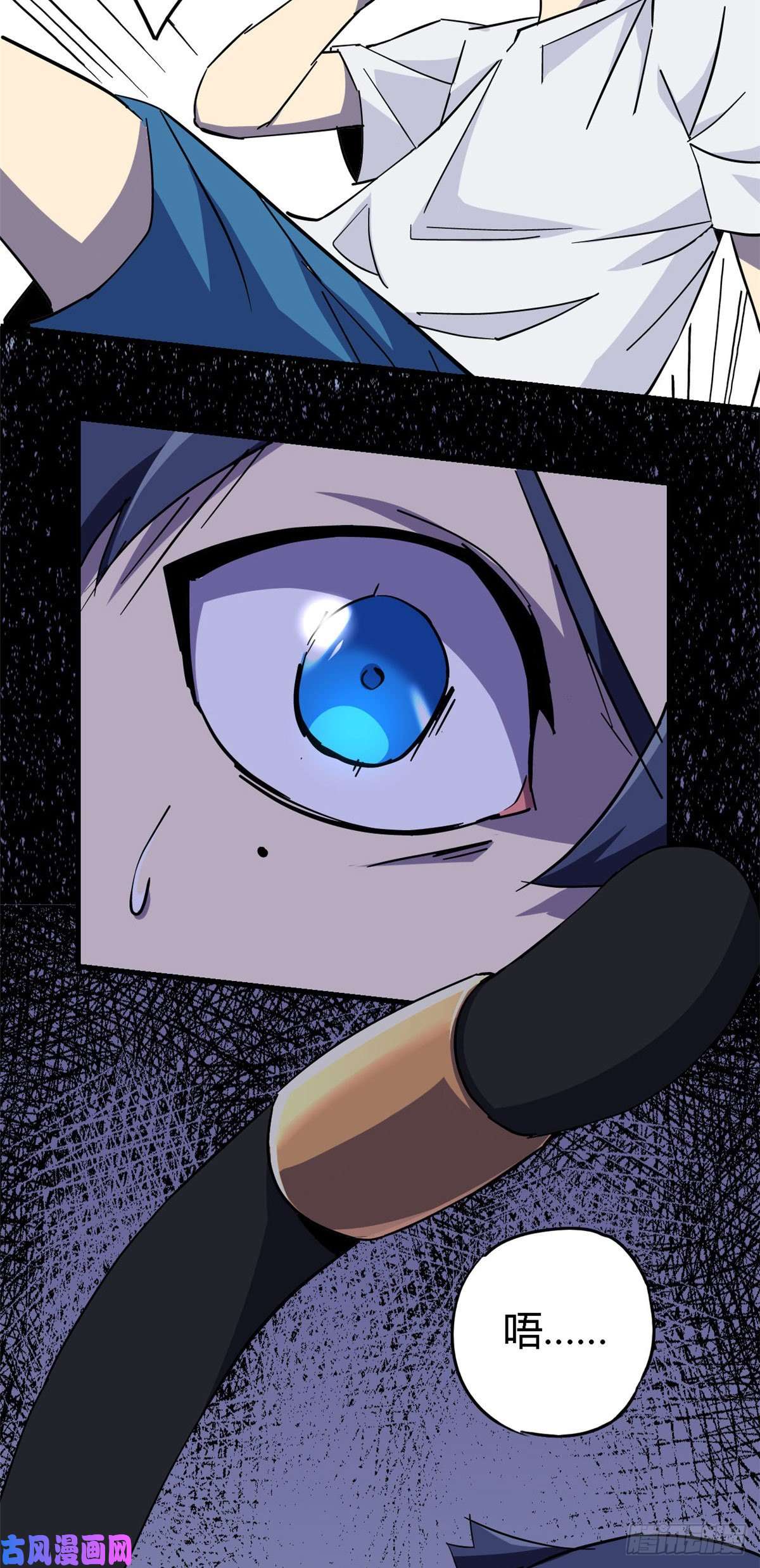 超神制卡师11爱猫人士表示谴责