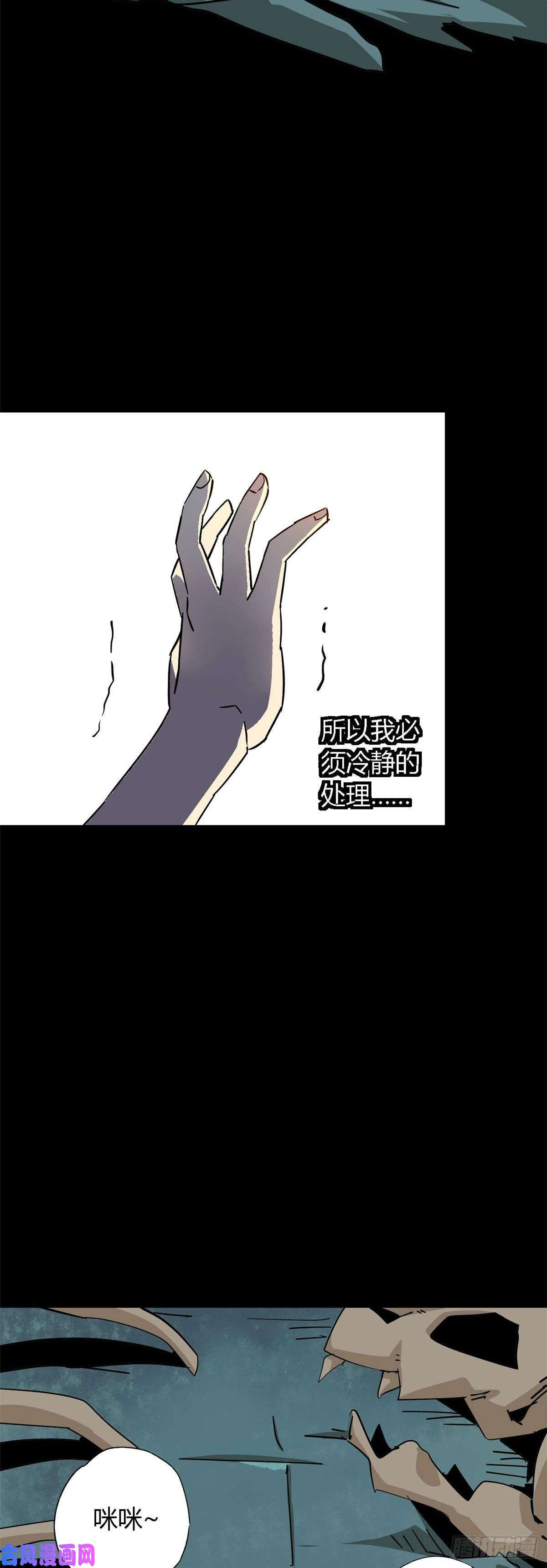 超神制卡师11爱猫人士表示谴责