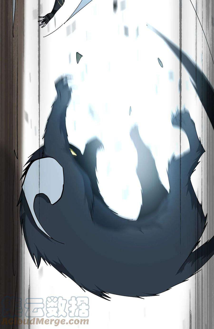 超神制卡师66 猫哥说话了！
