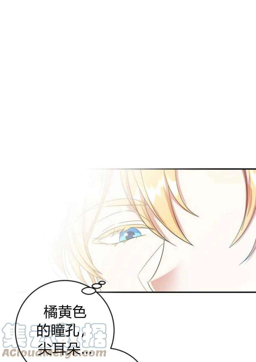 追上卢克·维舍尔07话