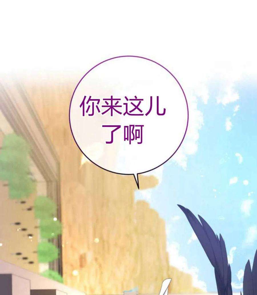 追上卢克·维舍尔08话