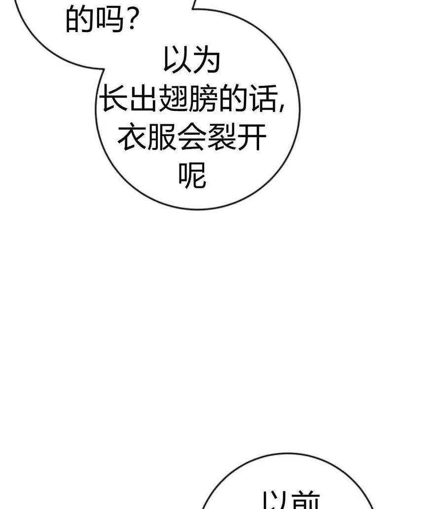 追上卢克·维舍尔08话