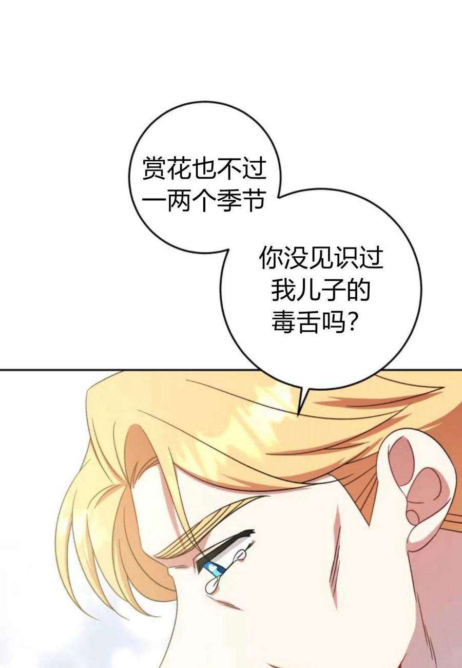 追上卢克·维舍尔11话