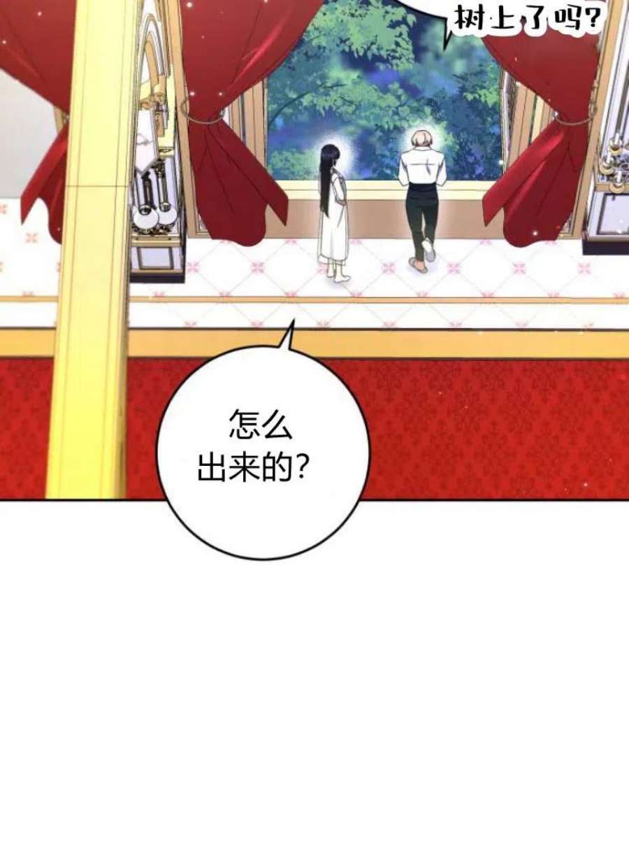 追上卢克·维舍尔17话