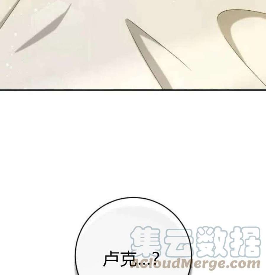 追上卢克·维舍尔18话