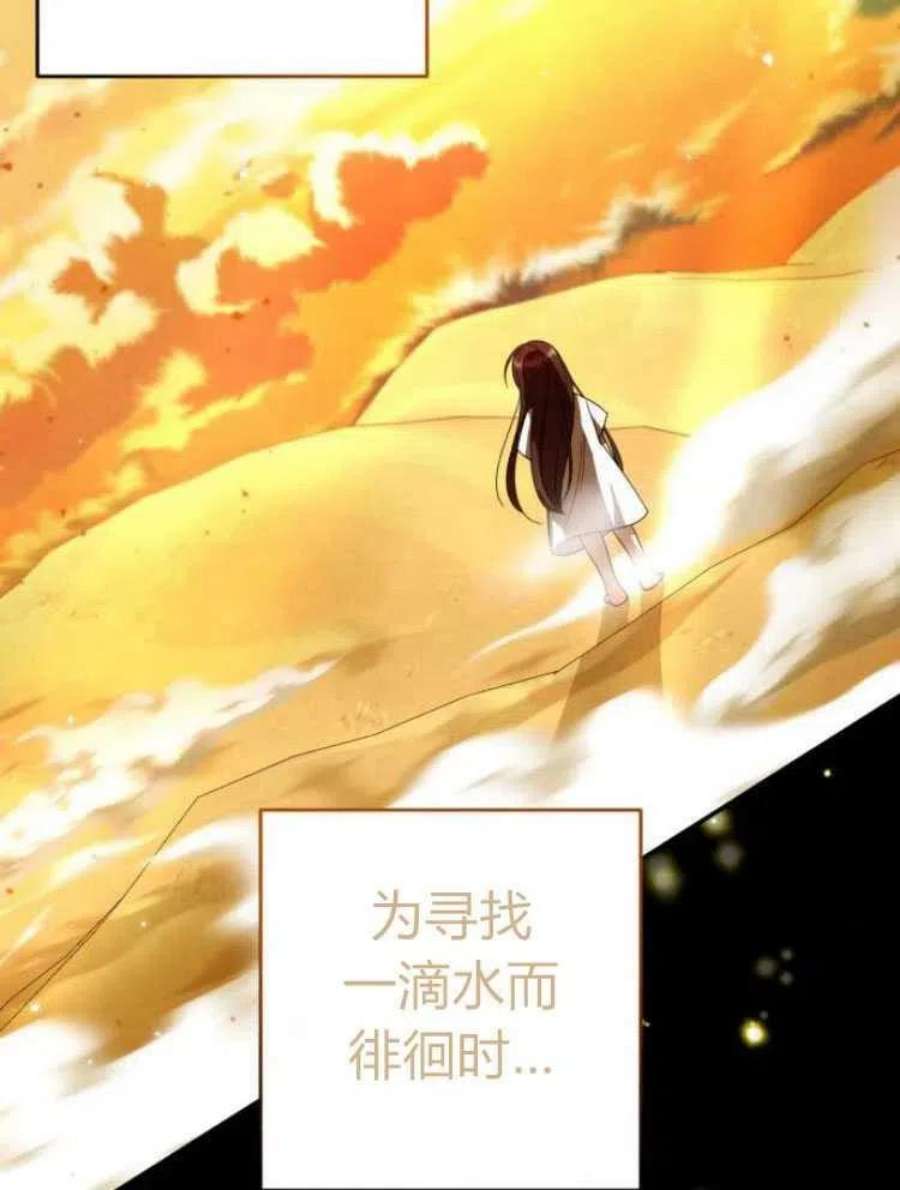 追上卢克·维舍尔18话
