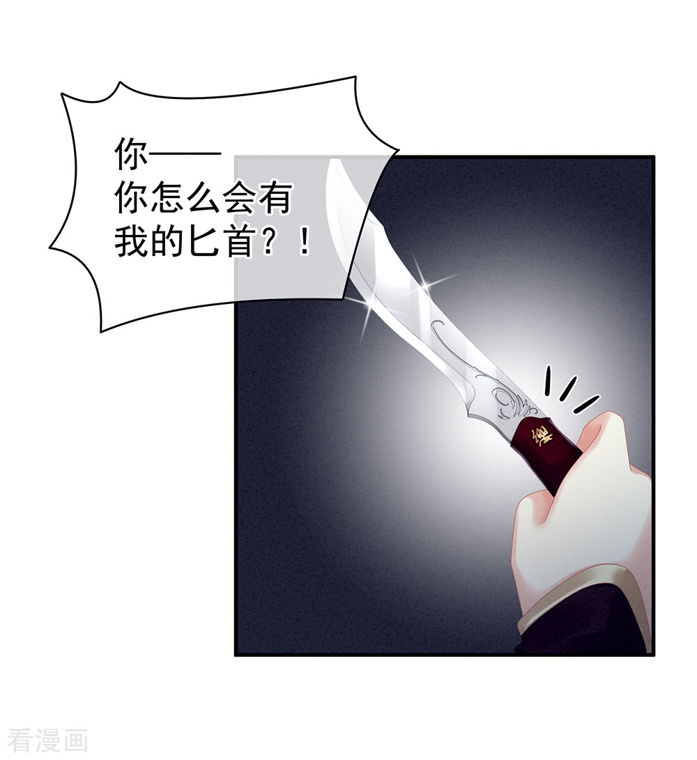 绝色男妃在争宠24话