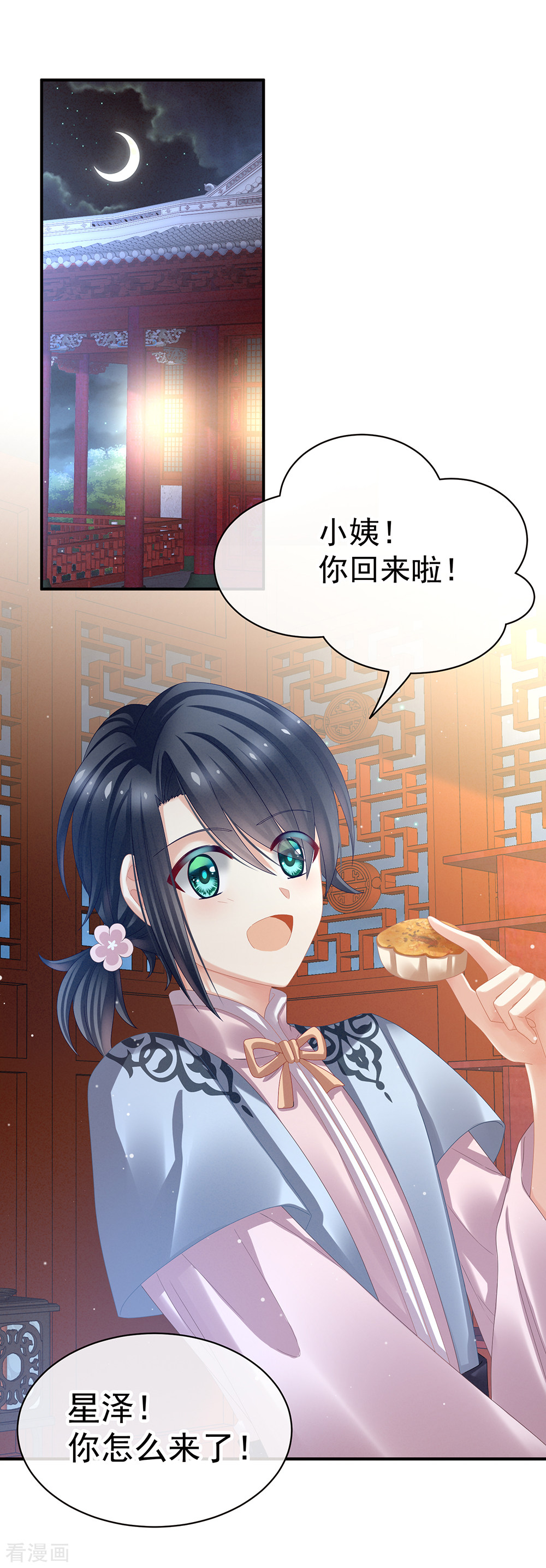 绝色男妃在争宠36话