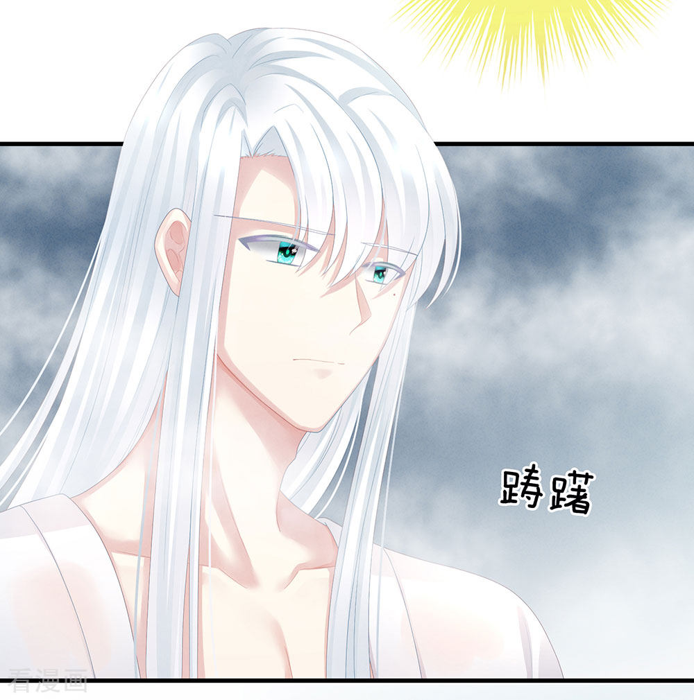 绝色男妃在争宠62话