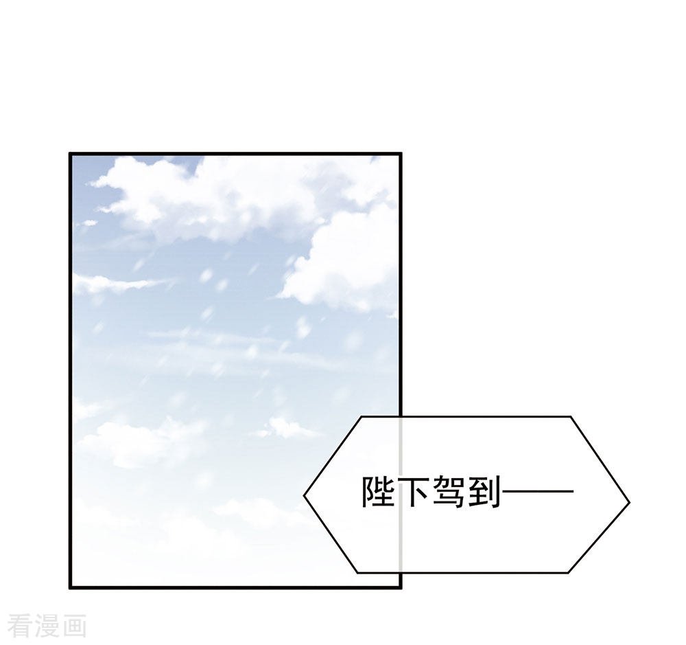 绝色男妃在争宠64话