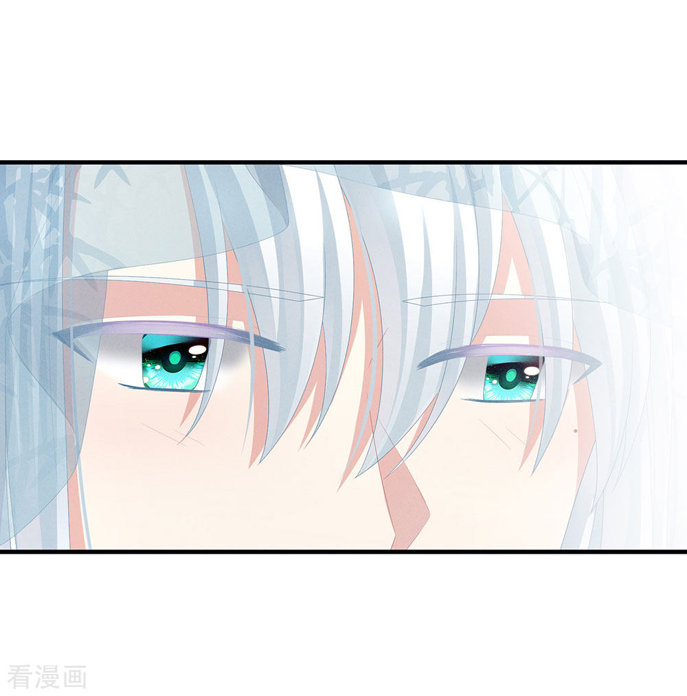 绝色男妃在争宠65话