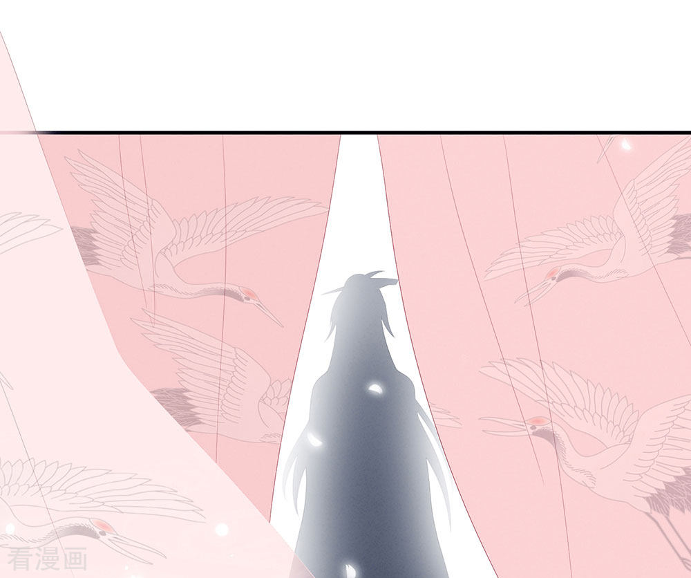 绝色男妃在争宠66话