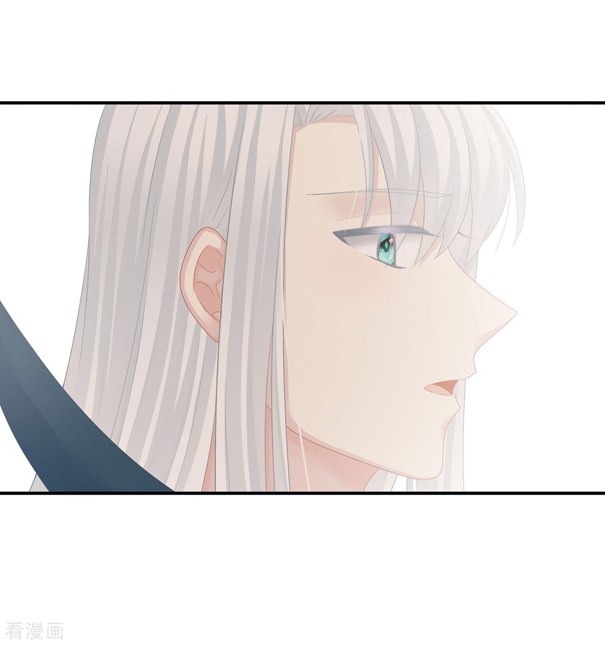 绝色男妃在争宠130话