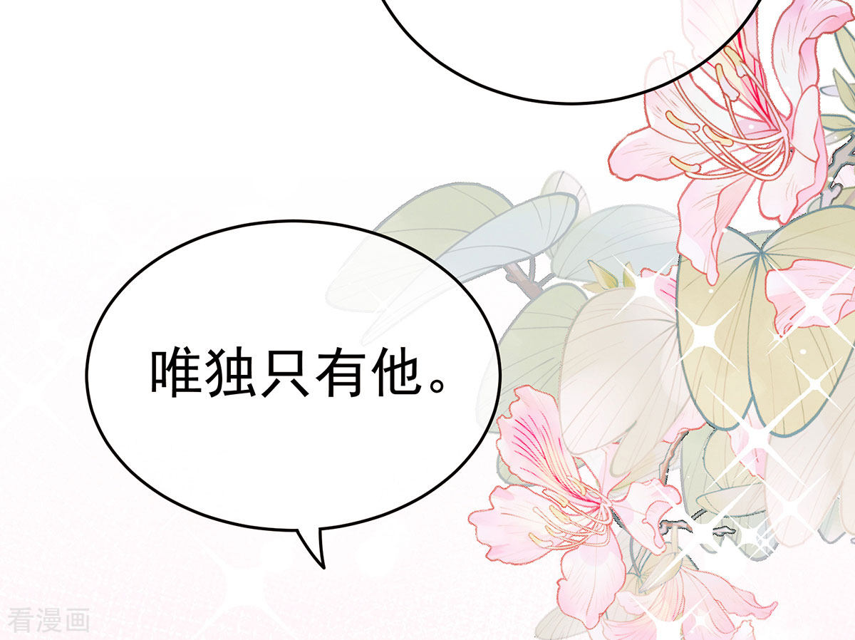 绝色男妃在争宠168话