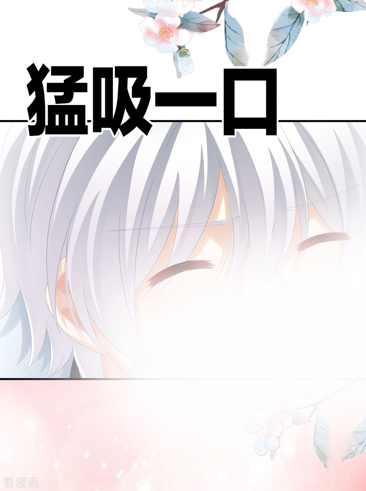 绝色男妃在争宠169话