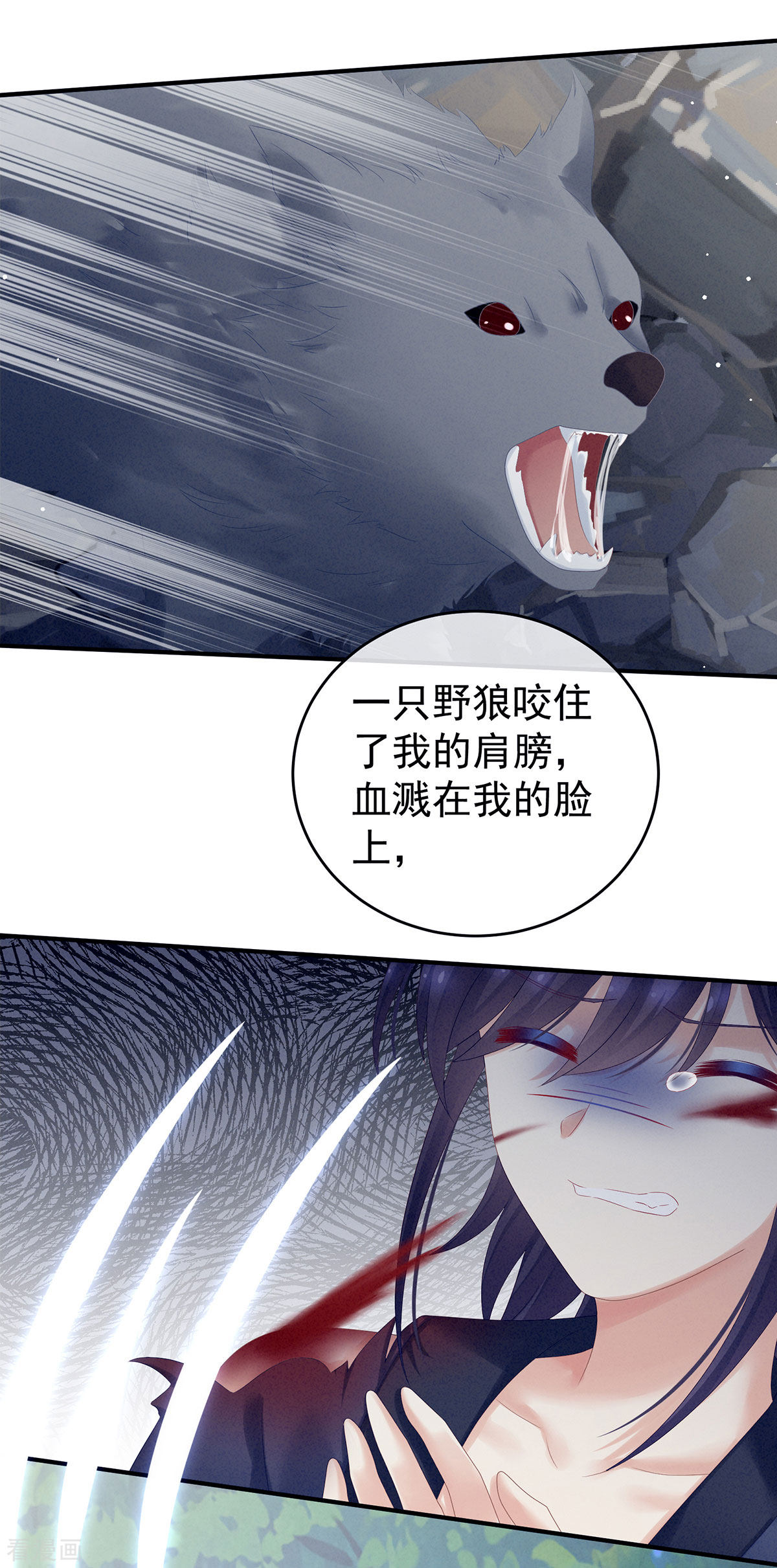 绝色男妃在争宠177话