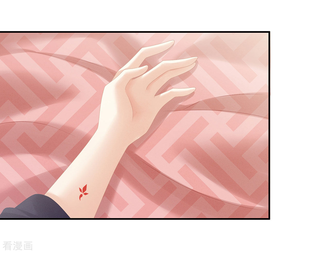 绝色男妃在争宠182话