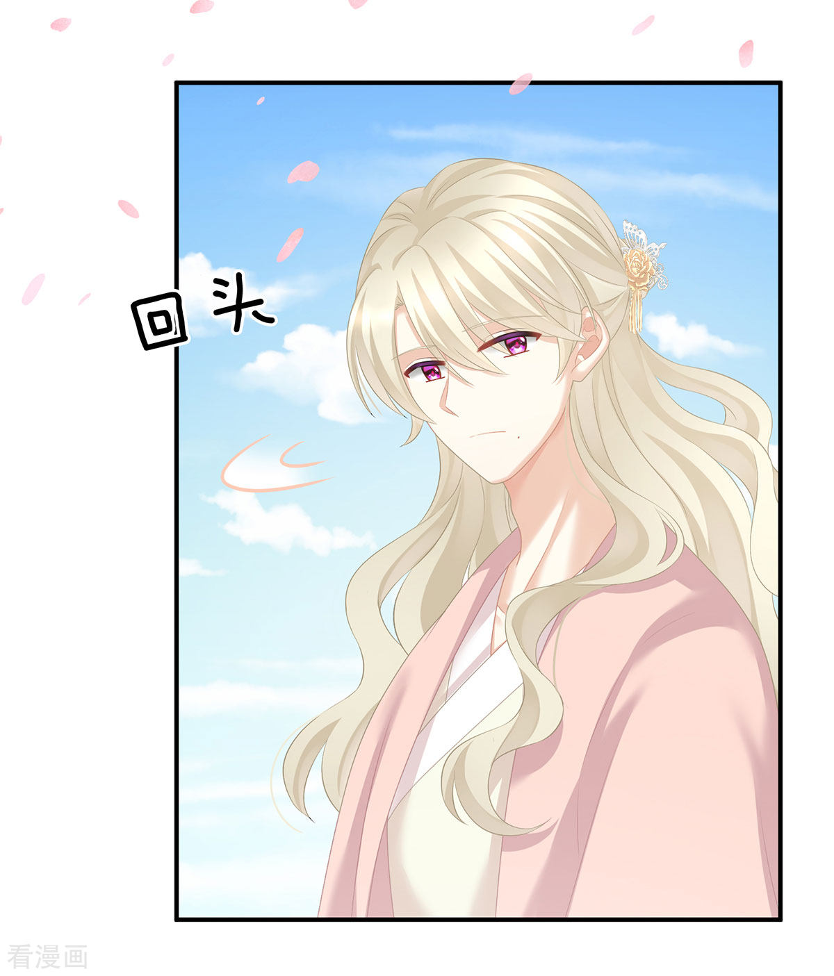 绝色男妃在争宠204话