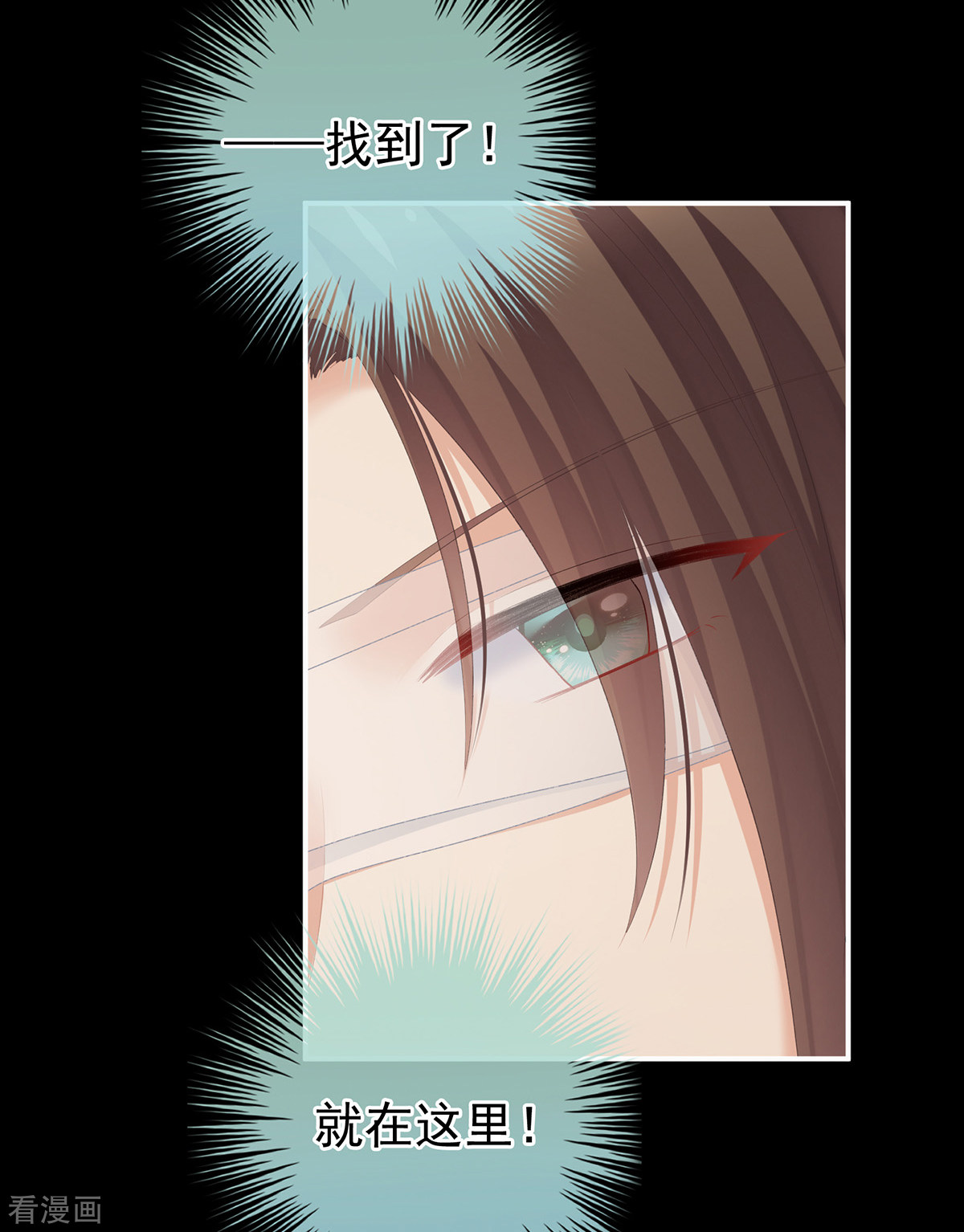 绝色男妃在争宠237话