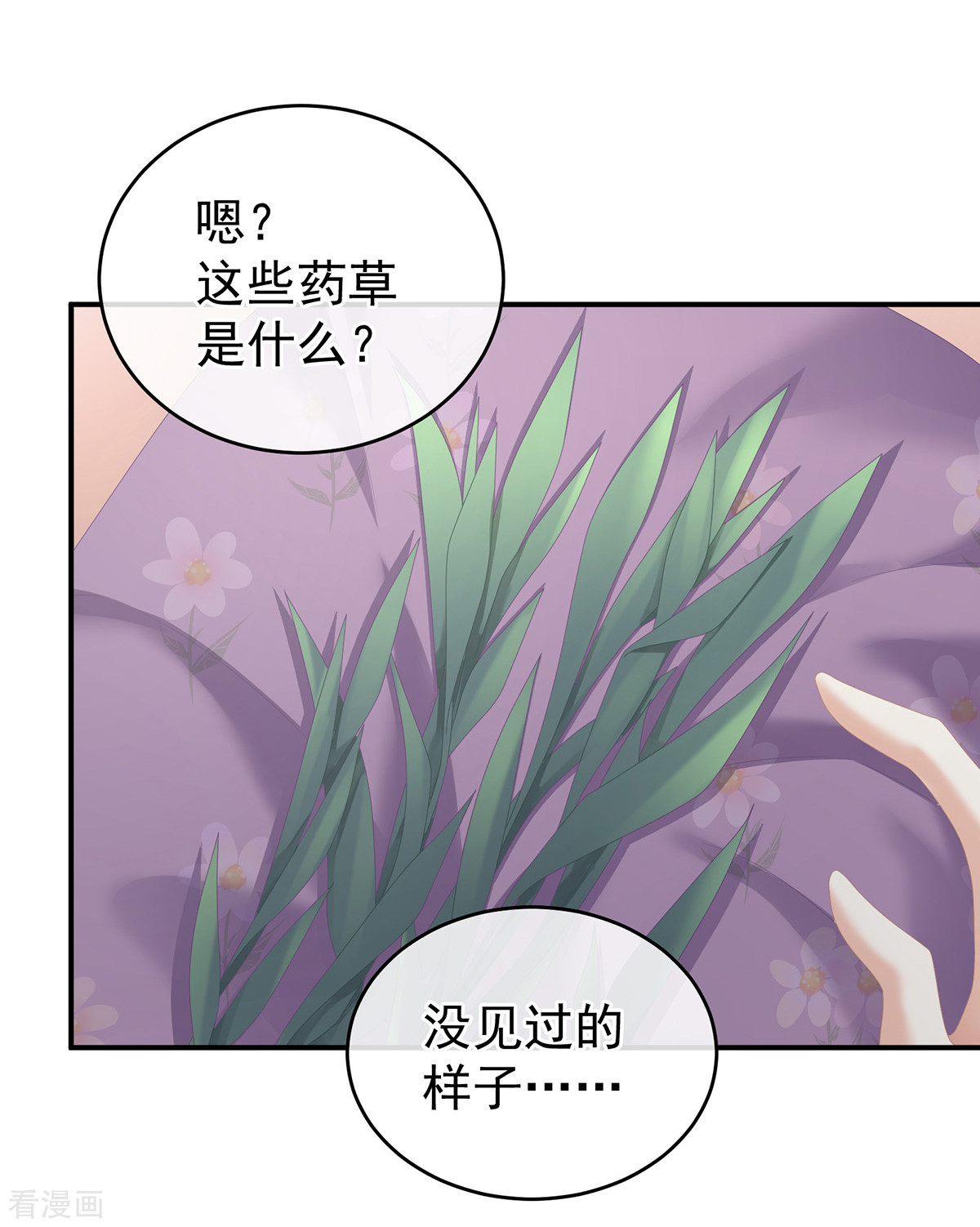 绝色男妃在争宠244话