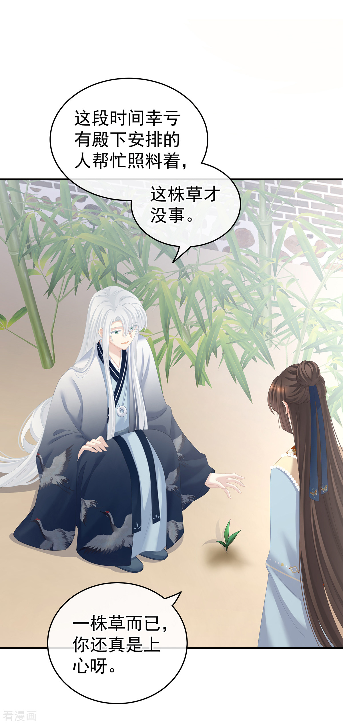 绝色男妃在争宠246话