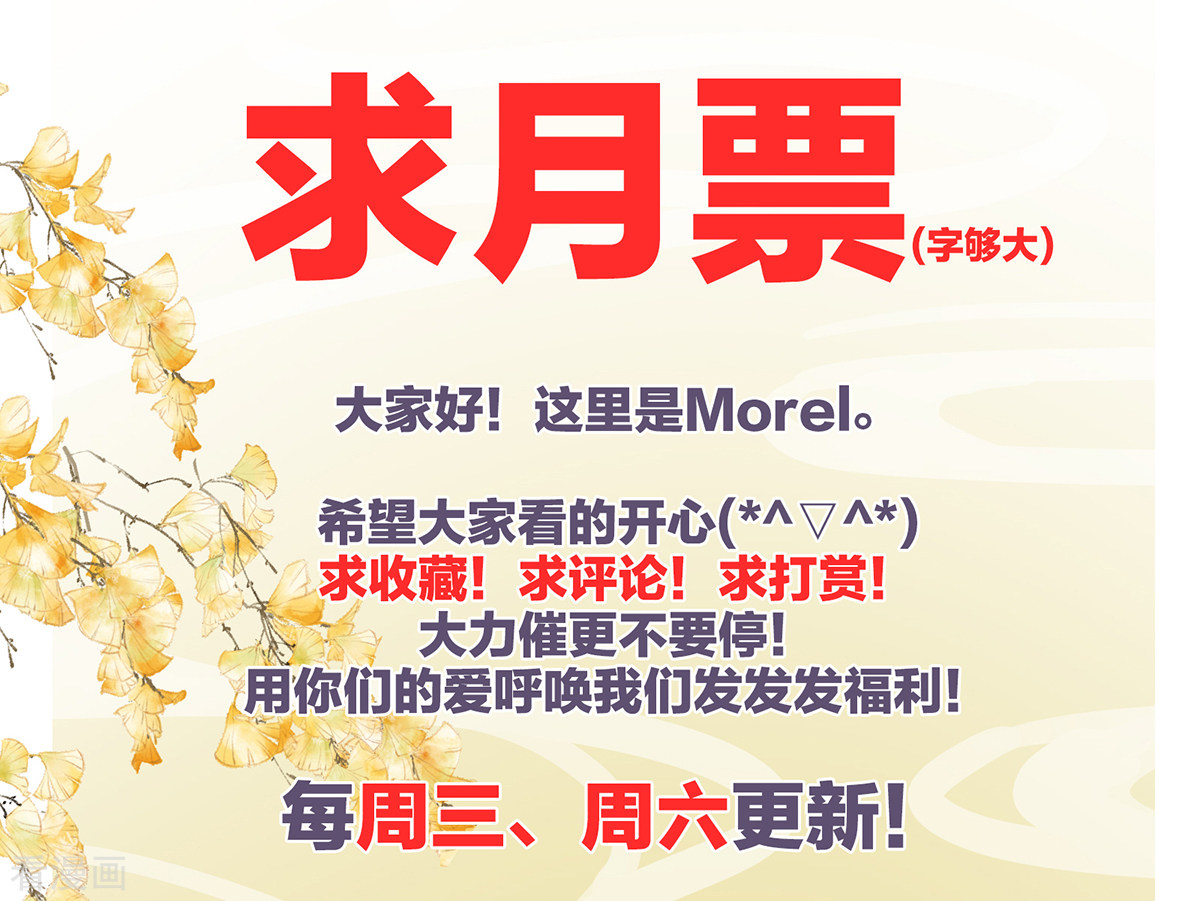 绝色男妃在争宠256话