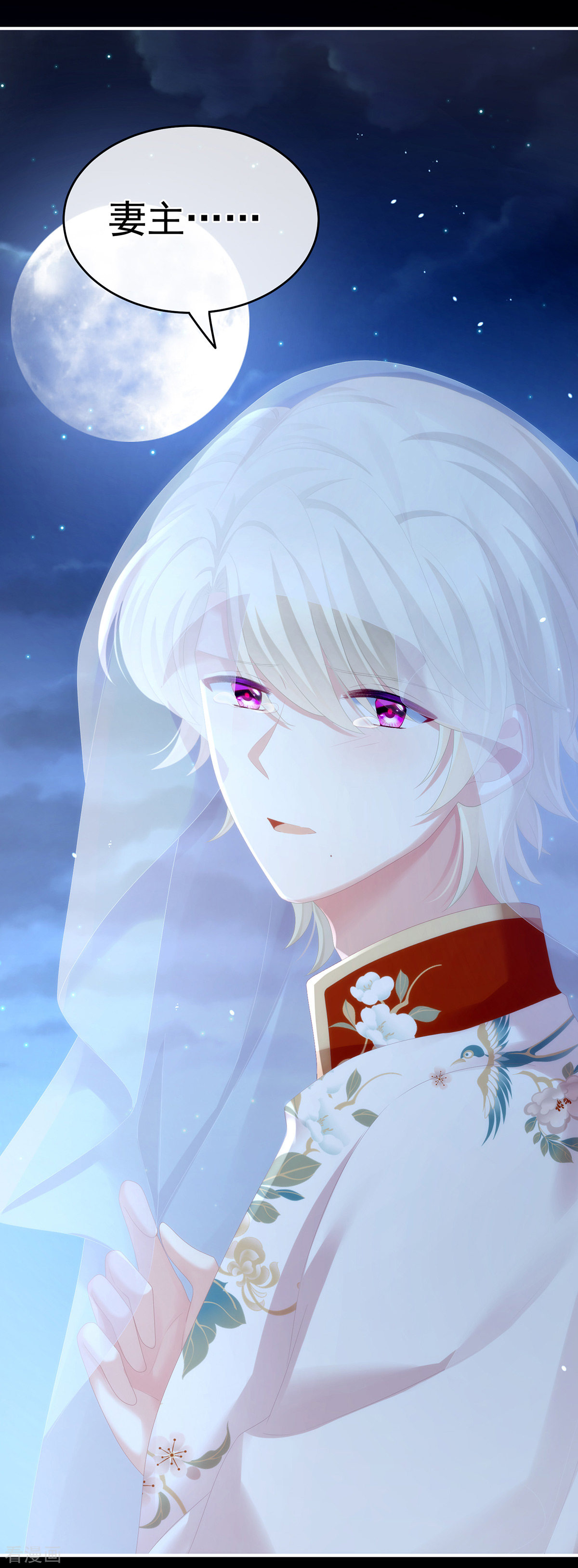 绝色男妃在争宠267话