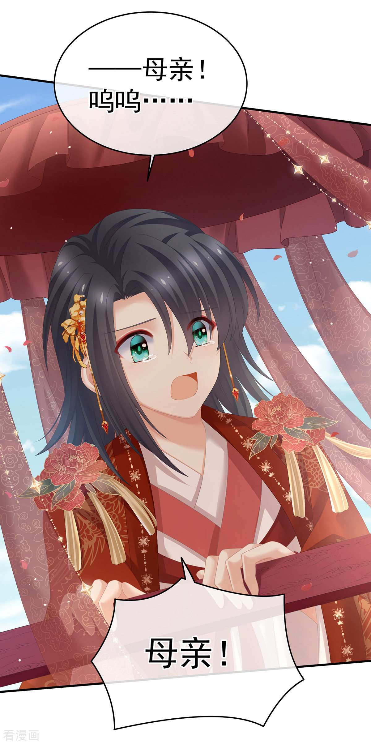 绝色男妃在争宠280话