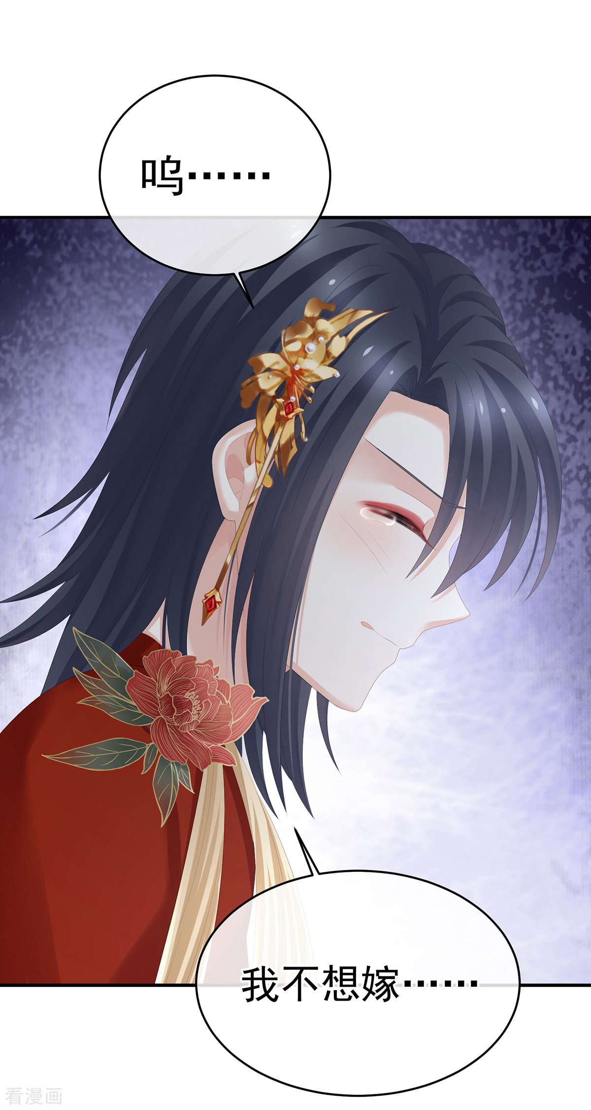 绝色男妃在争宠280话