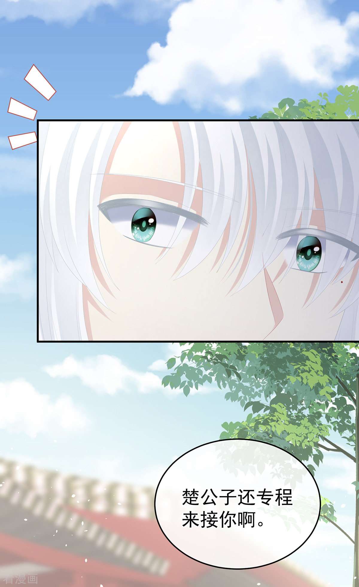 绝色男妃在争宠285话