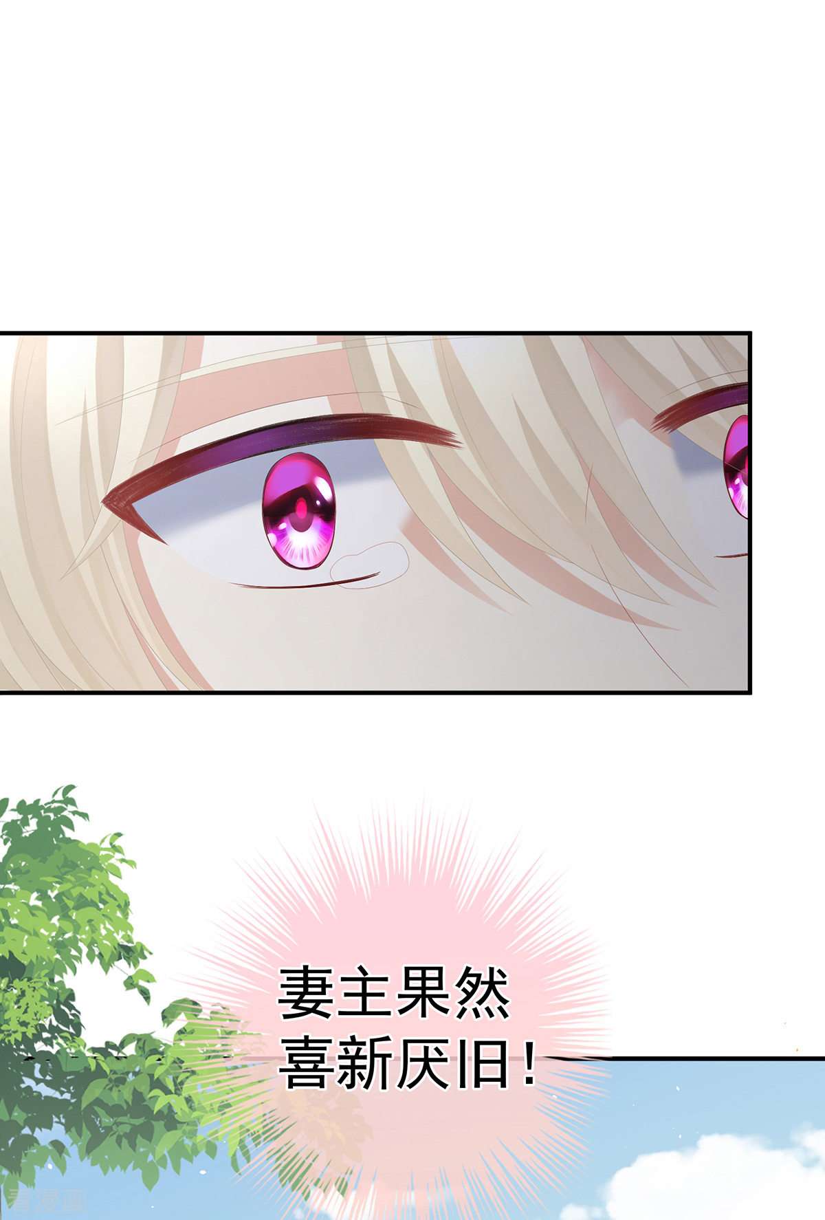 绝色男妃在争宠285话