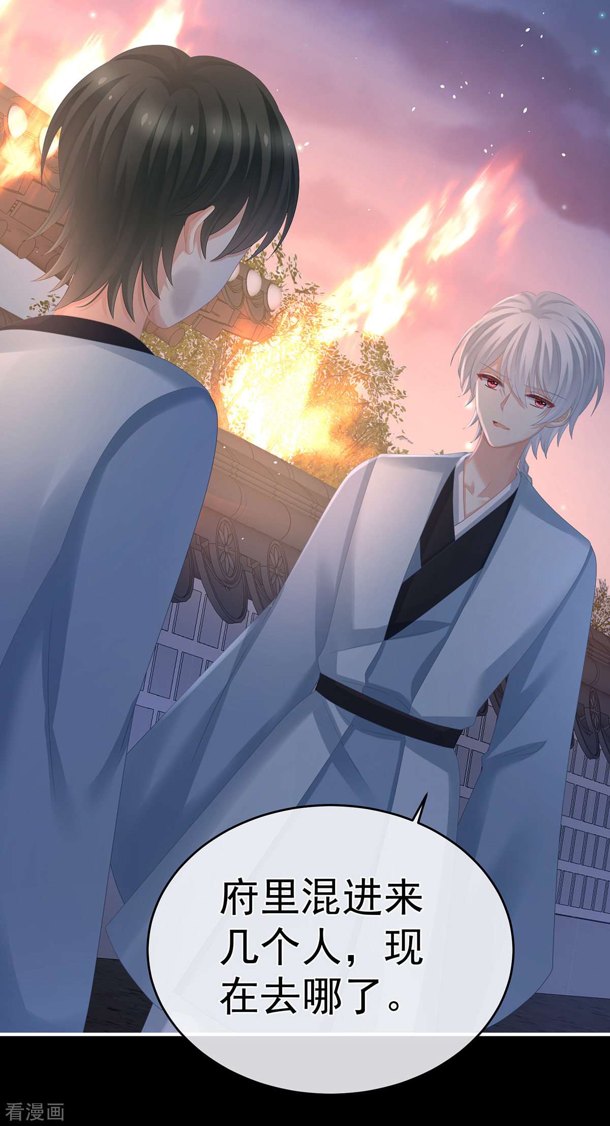 绝色男妃在争宠298话