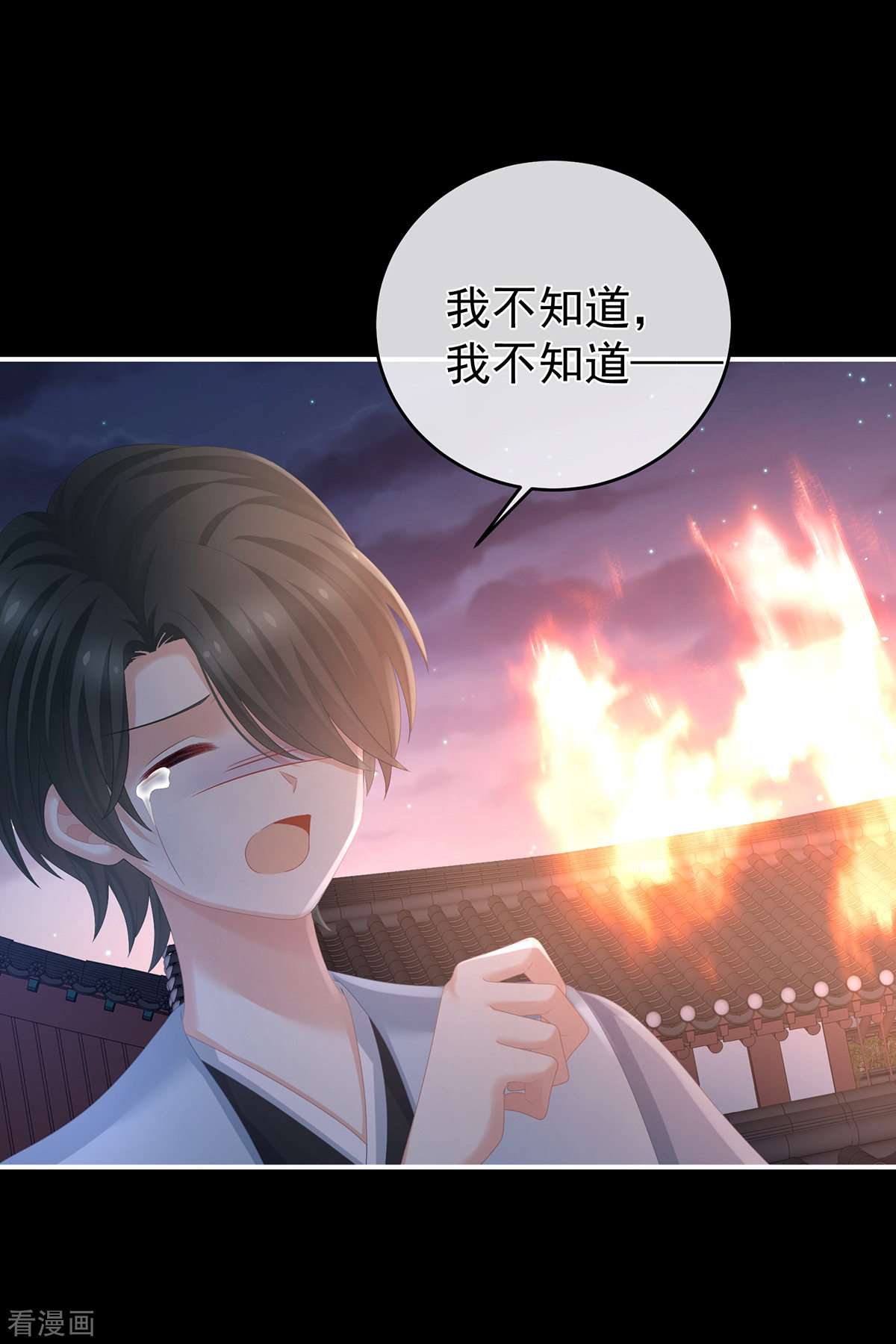 绝色男妃在争宠298话