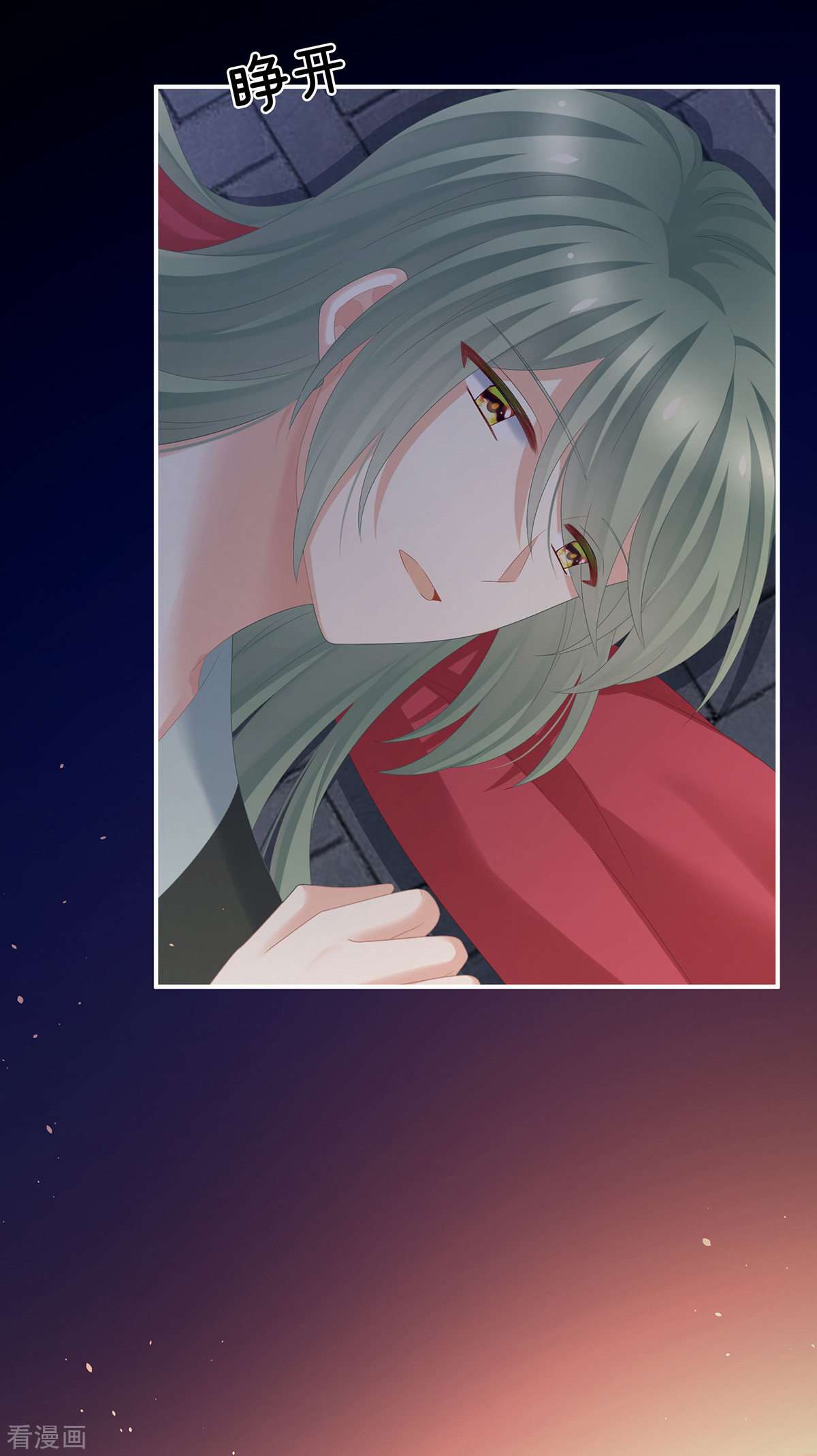 绝色男妃在争宠298话