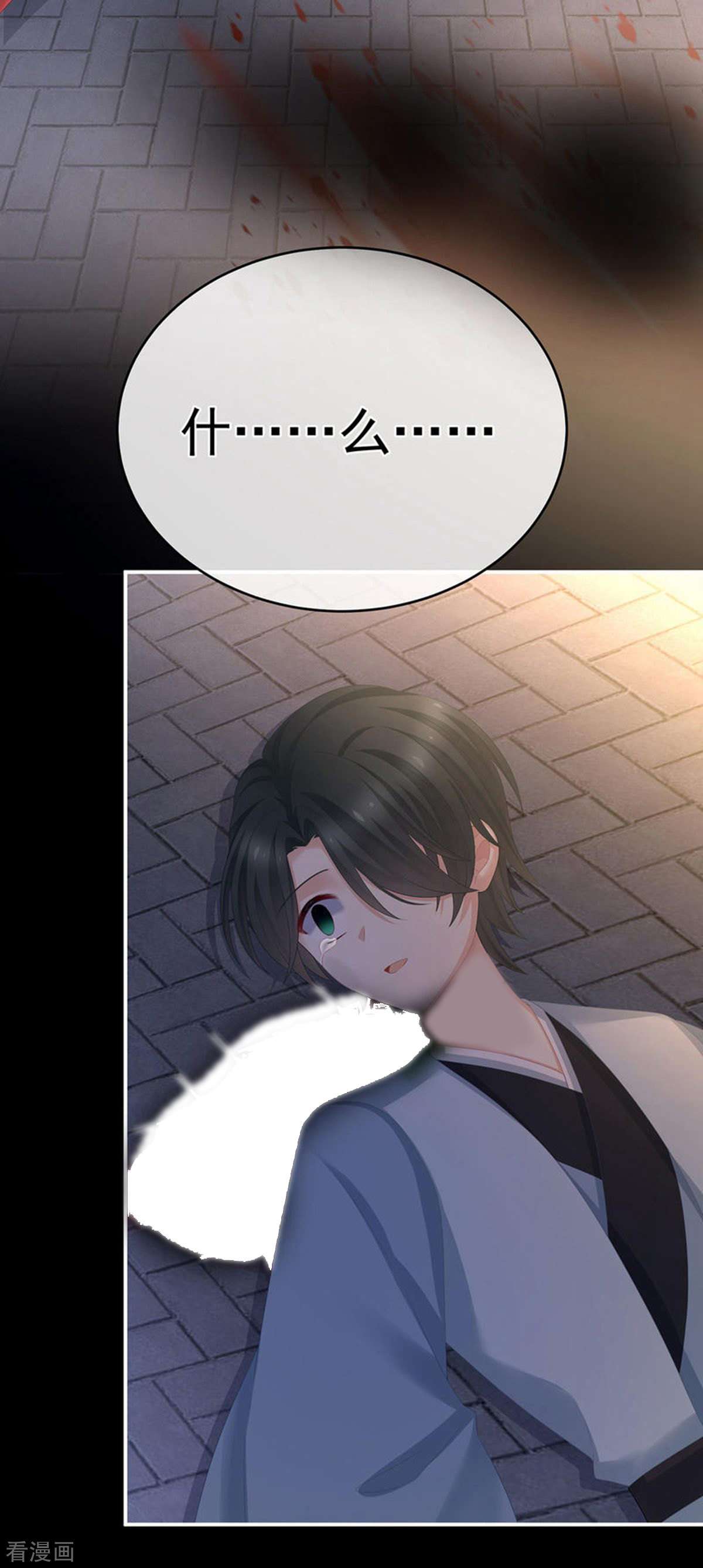 绝色男妃在争宠298话