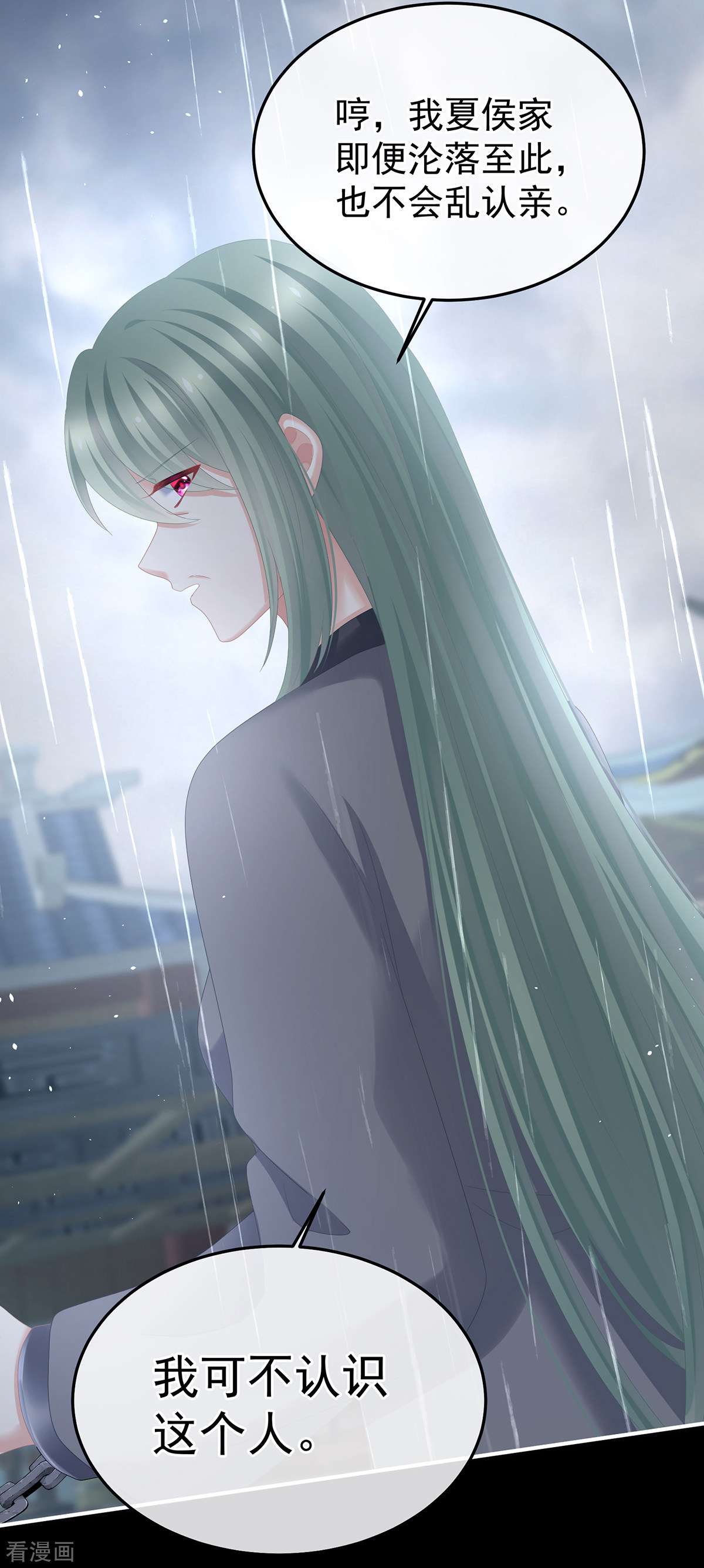 绝色男妃在争宠358话